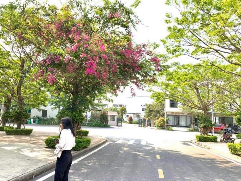 Haradise Suite Villa & Homestay Ha Long Exteriör bild